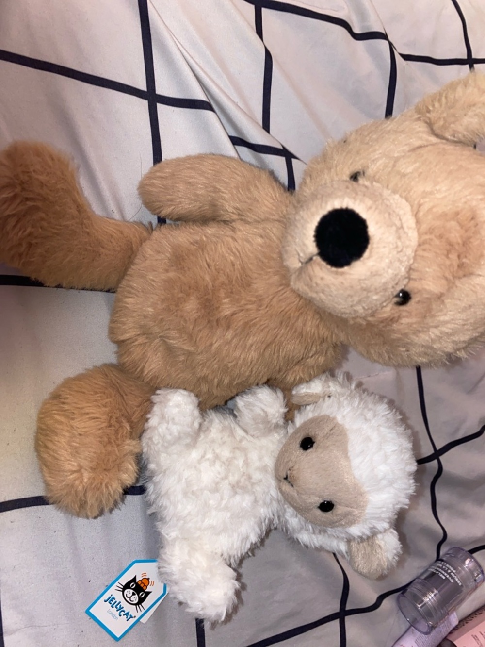 Jellycat Cream Bear and White Lamb Plush Duo